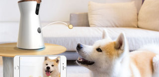 随时随地照料宝贝!宠物智能喂食器帮到你