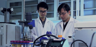 神奇的透明木材,会成为下一个手机屏幕制作材料吗?