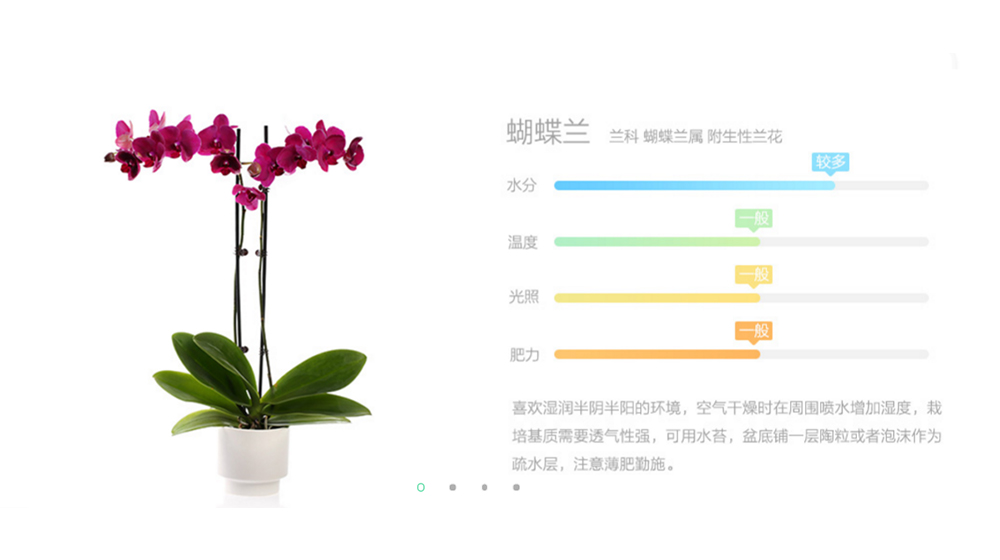 App可以提供不同植物的种植建议