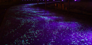 发光混凝土:走夜路不用灯,马路会发光!