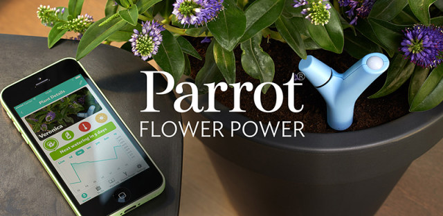 有了养花神器-Parrot Pot智能花盆，谁还说我是植物杀手！