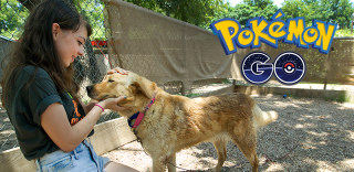Pokemon GO还能造福狗狗!宠物收容所提倡玩家帮狗狗散步