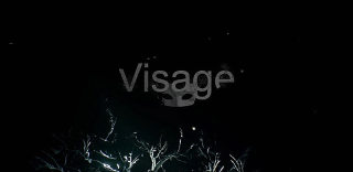 VR心理惊悚游戏Visage《面容》:恐怖鬼屋再次降临!