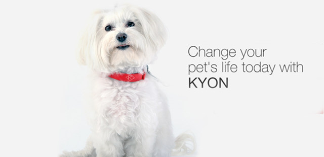 有了Kyon智能宠物项圈，你也能当一名合格的铲屎官