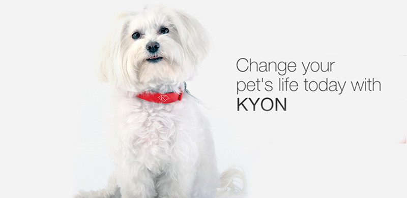 有了Kyon智能宠物项圈，你也能当一名合格的铲屎官