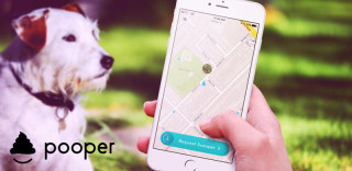 宠物界的Uber?当Pooper来临,铲屎官终于不用铲屎了!遛狗就是那么潇洒