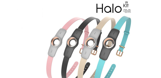 Halokit可点宠物项圈：宠物界的Apple Watch，让狗狗过上健康生活