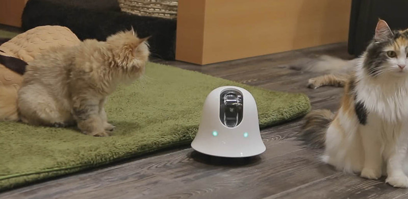 ilbo监控机器人 能与宠物成为玩伴的摄像机！