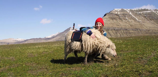 谷歌地图对外租借全景相机：用羊群将美景分享给全世界