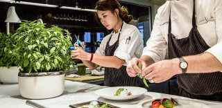 远离黑心食品!要吃绿色蔬菜,用SproutsIO种出来!