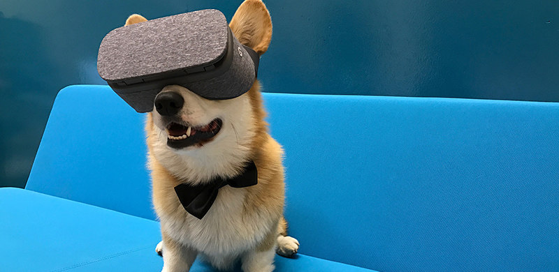 Daydream View会改变手机VR领域？但它对中国用户很不友好