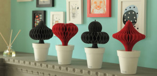 暖气与皮肤干燥怎么选?美女专属盆栽加湿器帮你过冬!