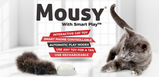 怎么帮猫咪减肥?有了这款Mousy猫咪玩具,想不瘦都难