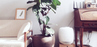 空气污染干燥怎么破?保湿净化二合一的空气沁化器帮你搞定!