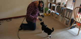 担心使用VR时会误伤宠物?你需要一个Vive Tracker追踪器