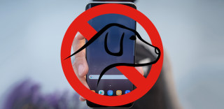 你可能没想到,三星S8电池的天敌竟然是汪星人!