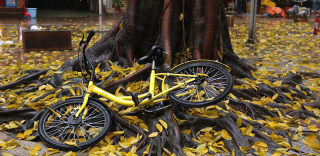 共享单车“黑名单”:不仅全平台封杀,还将影响个人征信!