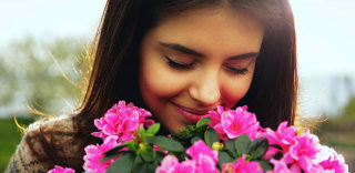 只要一片叶子就能分清植物,有了LeafSnap App把妹更轻松!