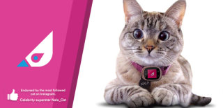 萌宠专属智能手机面世:有了Trackums,宠物走丢了也不慌