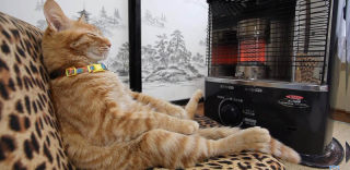 寒冷冬天给你恰到好处的温暖:家用暖风机如何挑选?