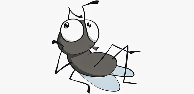 夏天小虫子太多怎么办？家里放点什么有效驱虫？