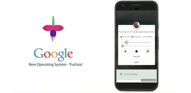 Google rammus神秘机型泄露，谷歌或将提前启用新系统Fuchsia
