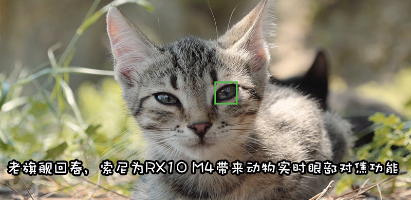 索尼为RX10M4更新2.0固件，加入动物实时眼部对焦功能