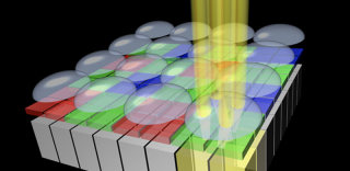 索尼推出对焦更快画质更好的2x2 OCL技术,让你愉快拍猫片