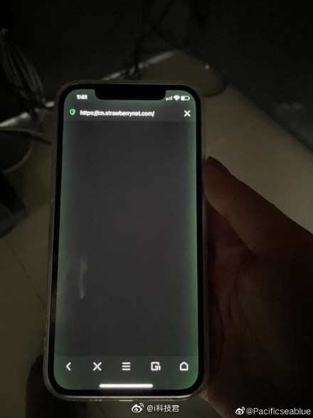iPhone 12 屏幕发绿